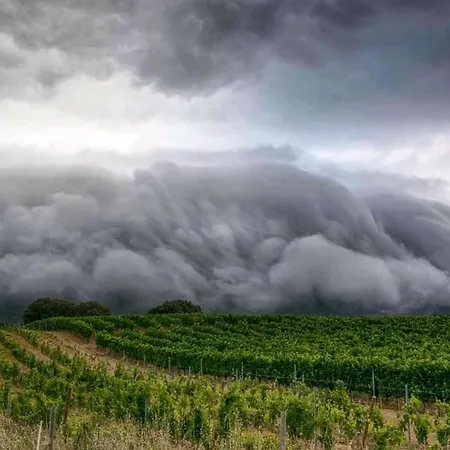 Atico アパート *