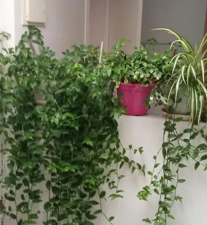 Atico Διαμέρισμα La Guardia